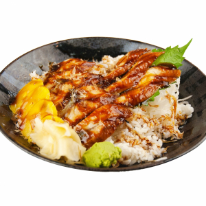 Unadon Donburi